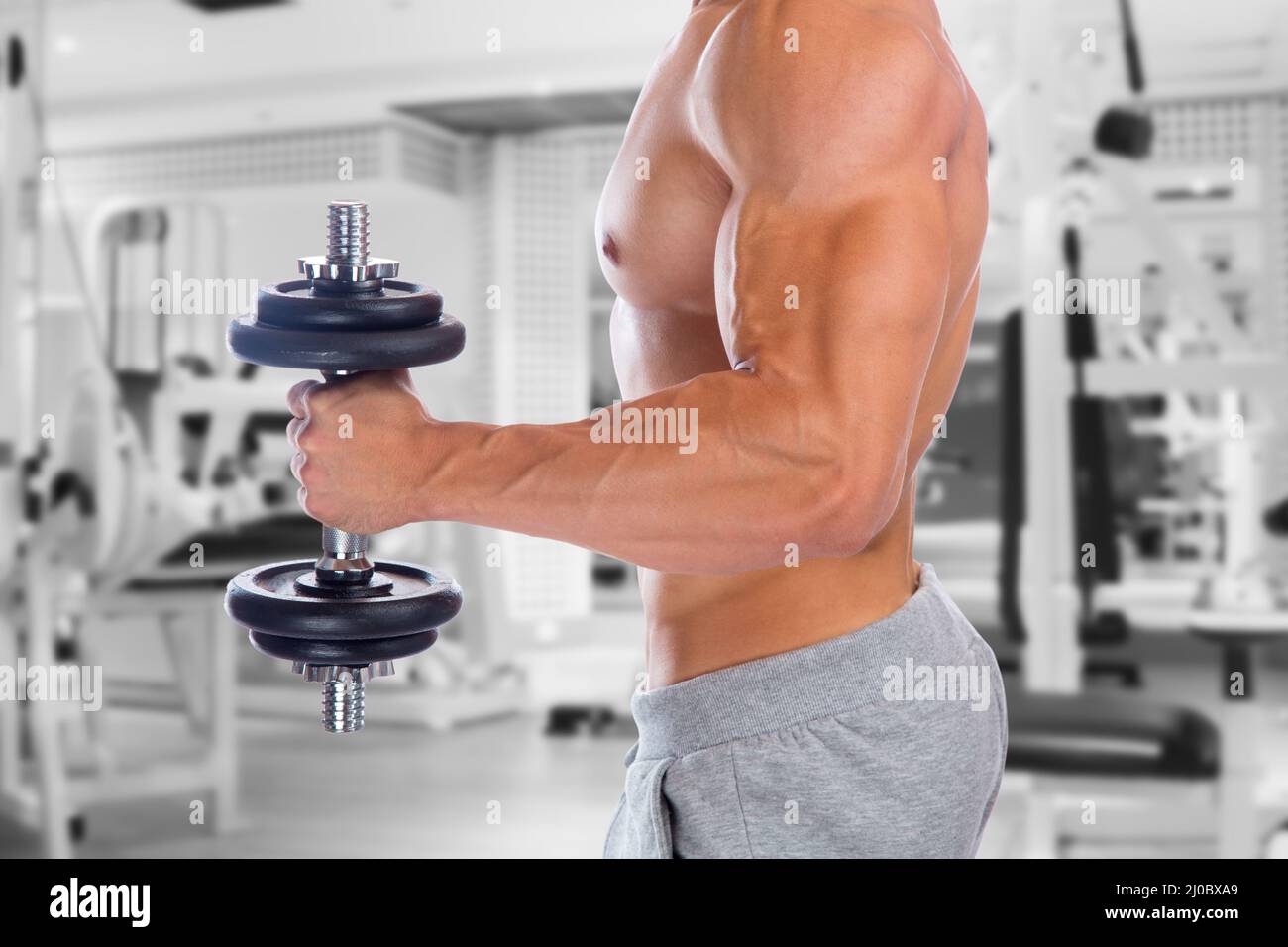 Fuerza poder fuerte muscular bíceps brazo gimnasio culturismo musculos musculos musculación mancuerna Foto de stock