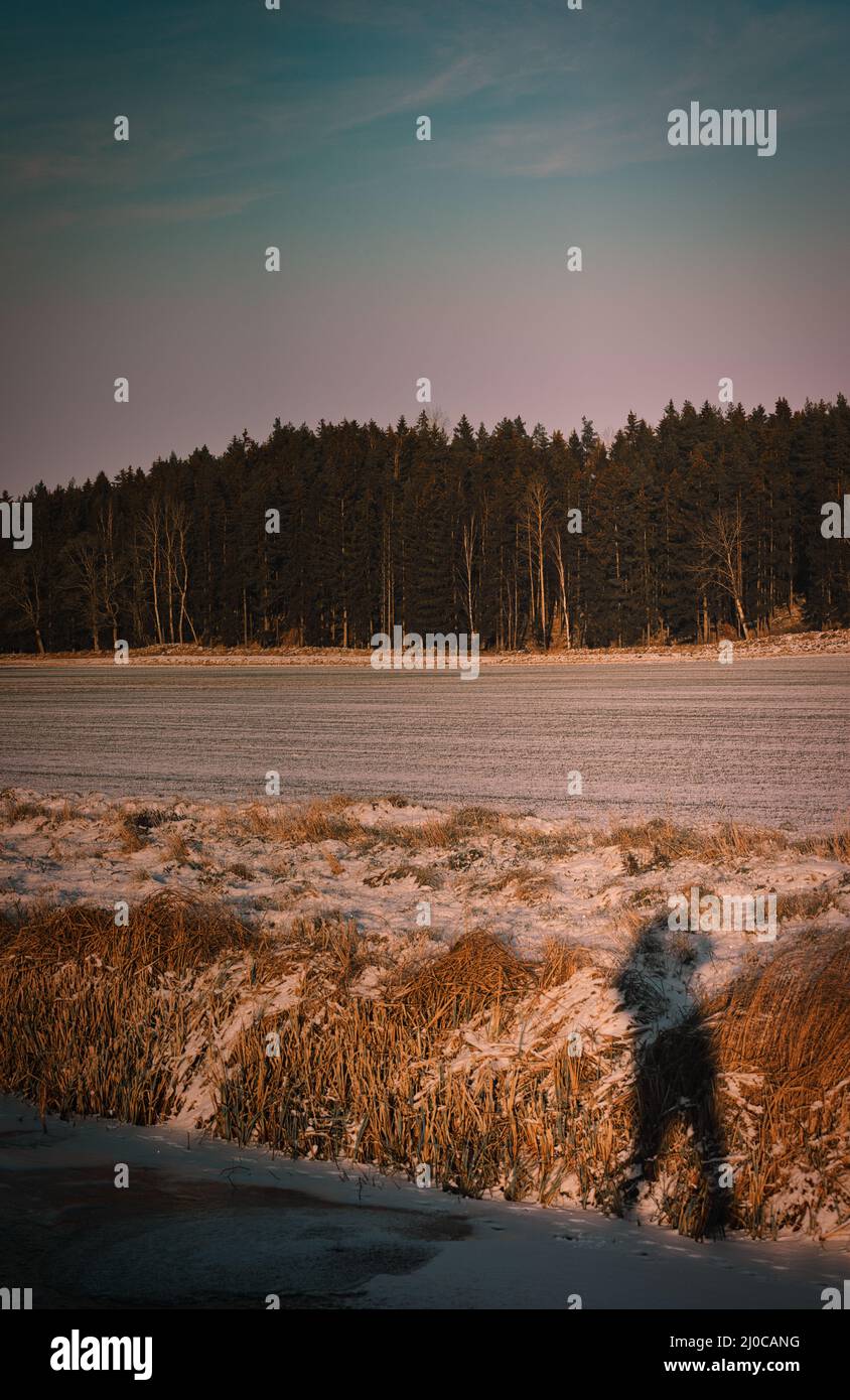 Imagen atmosférica de la sombra de la persona en un banco cubierto de nieve cerca del bosque, Upplands Vasby, Estocolmo, Suecia. Concepto de amenaza, siniestro, mal Foto de stock