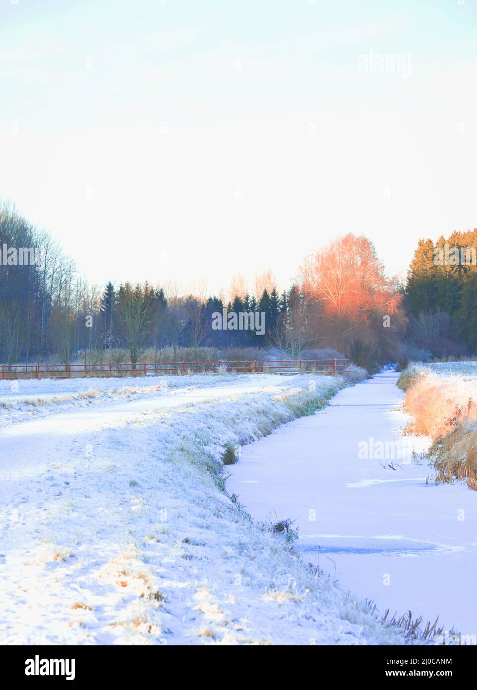Río helado cubierto de nieve y coloridos árboles forestales, Upplands Vasby, Estocolmo, Suecia. Concepto de soledad, aislamiento Foto de stock