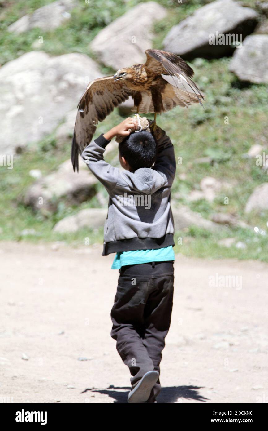 Niño con pájaro domesticado de presa, garganta Grigorievka, Montañas Kungei Alatoo, Kirguistán Foto de stock