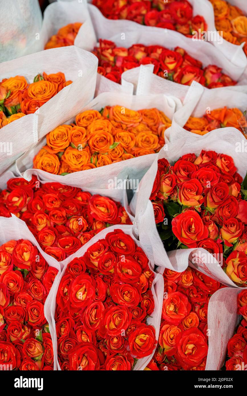 Venta de rosas y rosas de varios colores para la venta en una tienda de  flores Fotografía de stock - Alamy