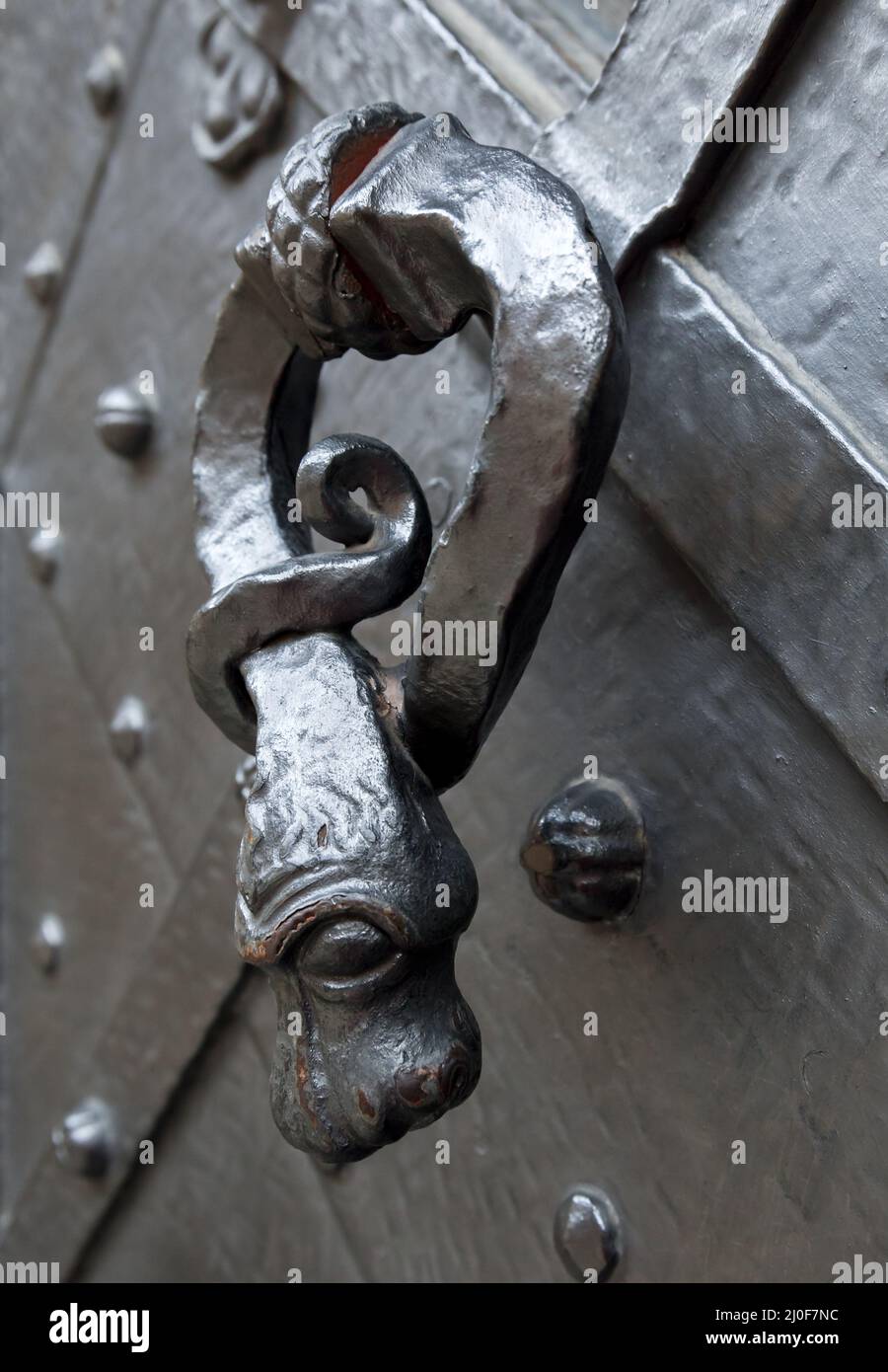 Puerta de un caballero en forma de serpiente Foto de stock