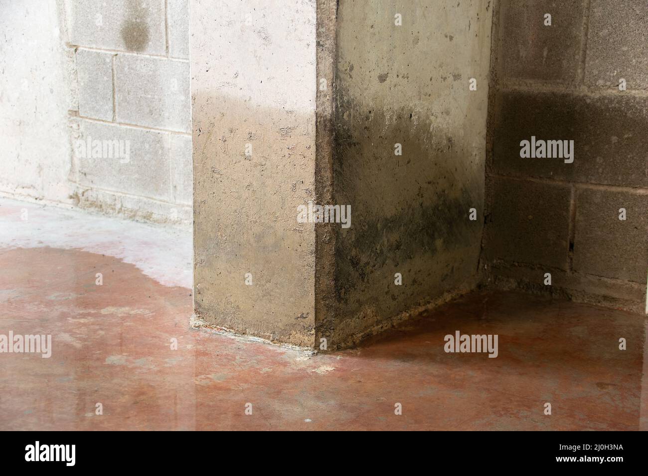 Daños a una columna de hormigón por el agua en el sótano Foto de stock