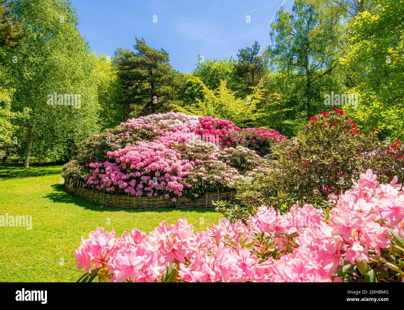 Hermoso jardín florido de flores en la temporada de primavera en Londres - Inglaterra Foto de stock