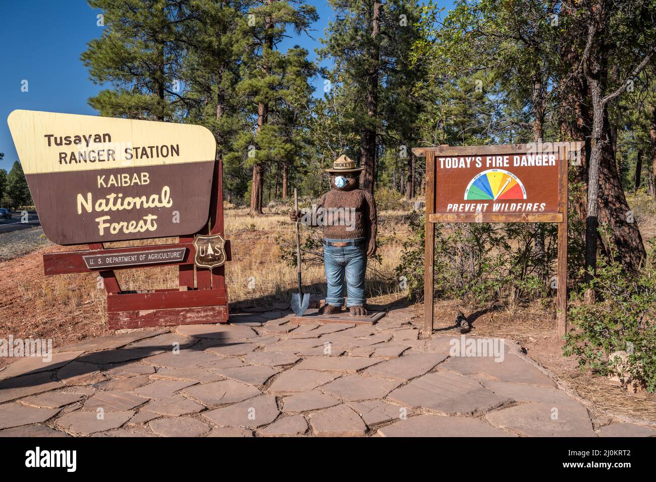 Un camino de entrada en Kaibab National Forest, Arizona Foto de stock