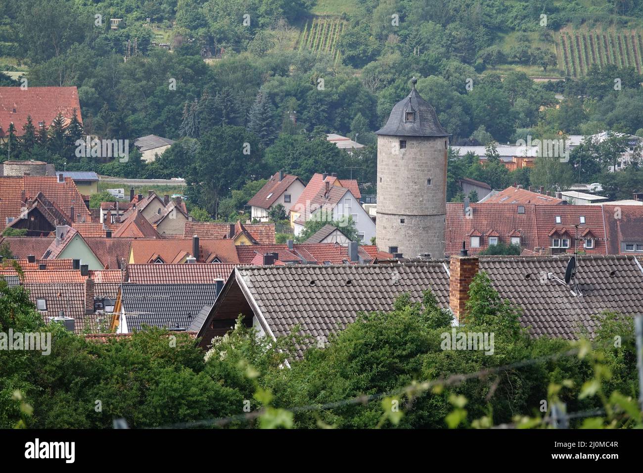 Viñedo y Kereturm en Eibelstadt Foto de stock