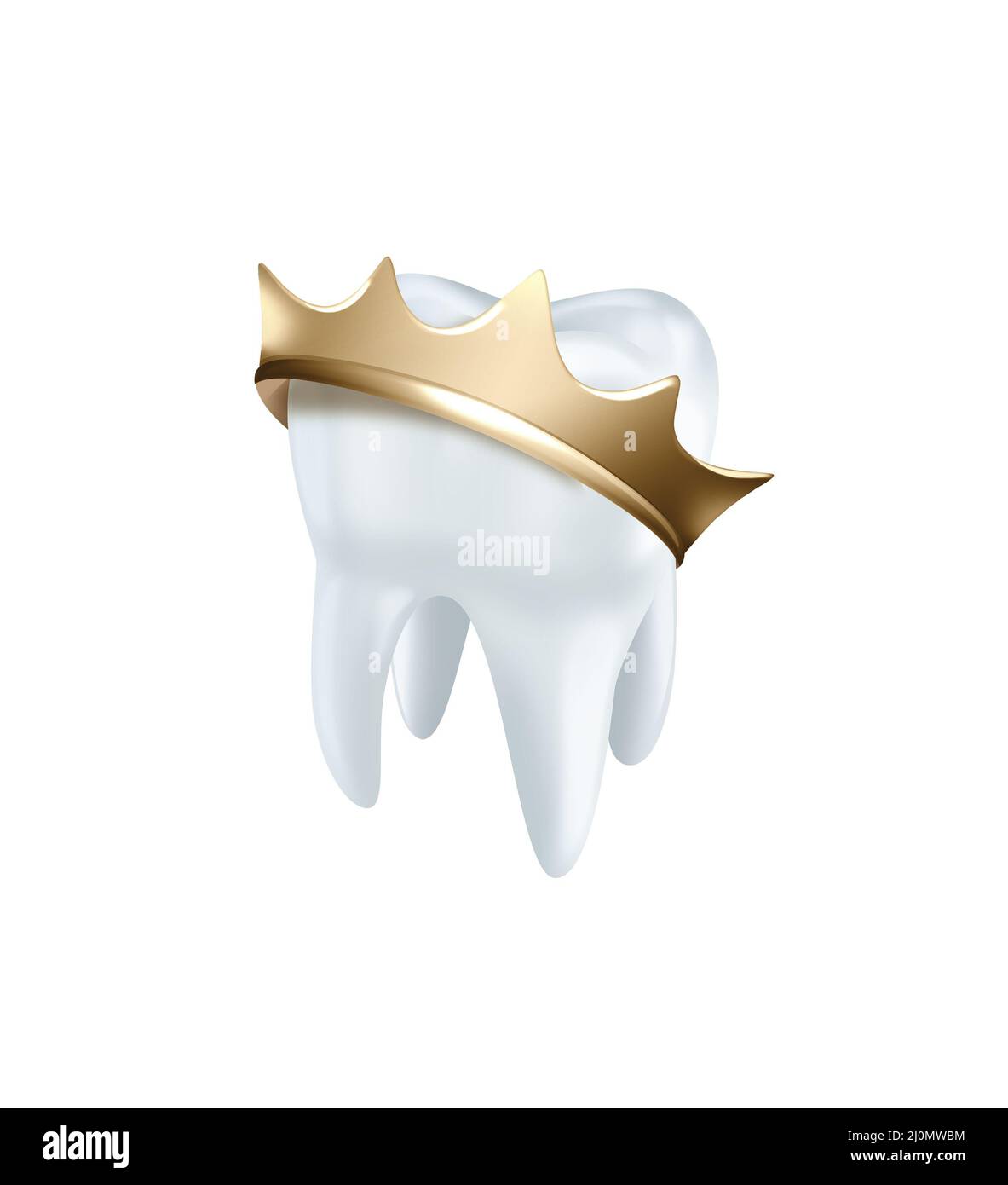 NQEUEPN Caja de dientes de madera, lindo diente blanco 3D imagen