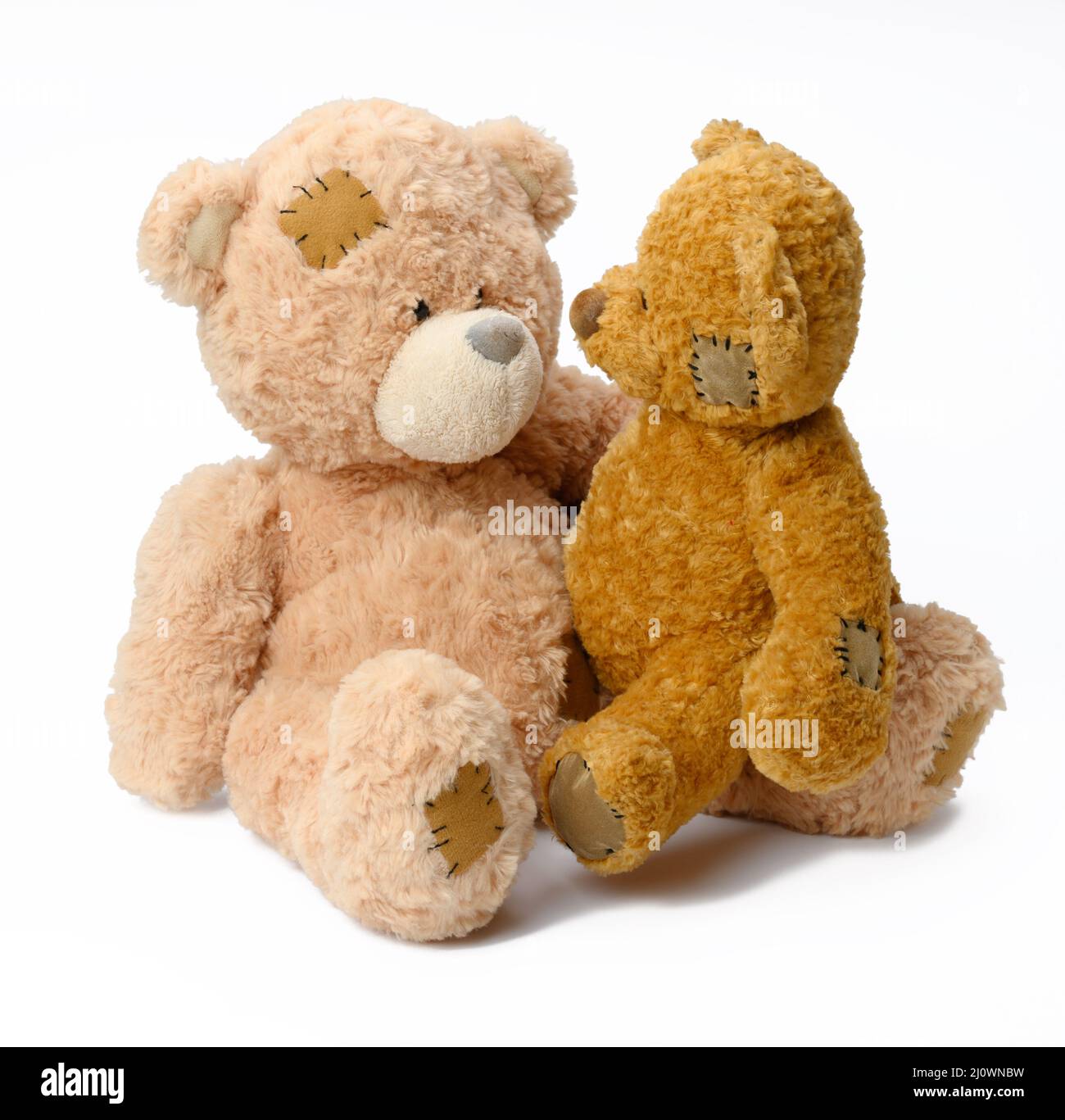 ir de compras Globo bufanda Dos bonitos osos de peluche marrones sobre un fondo blanco Fotografía de  stock - Alamy