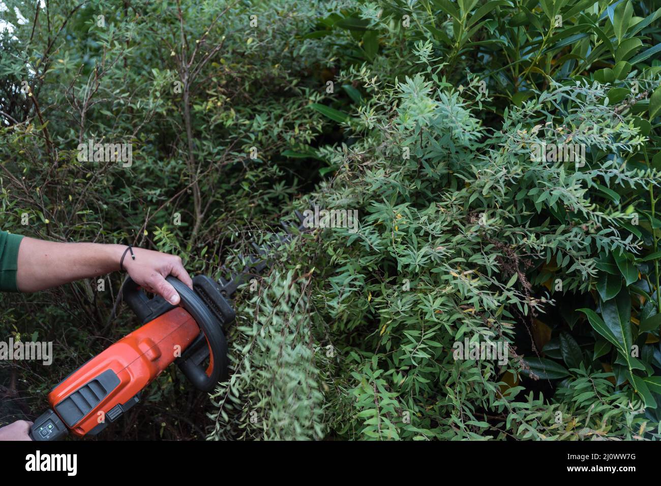 Jardinero de paisaje con mantenimiento de jardín con cortadoras de cobertura - detalle diseño de jardín Foto de stock