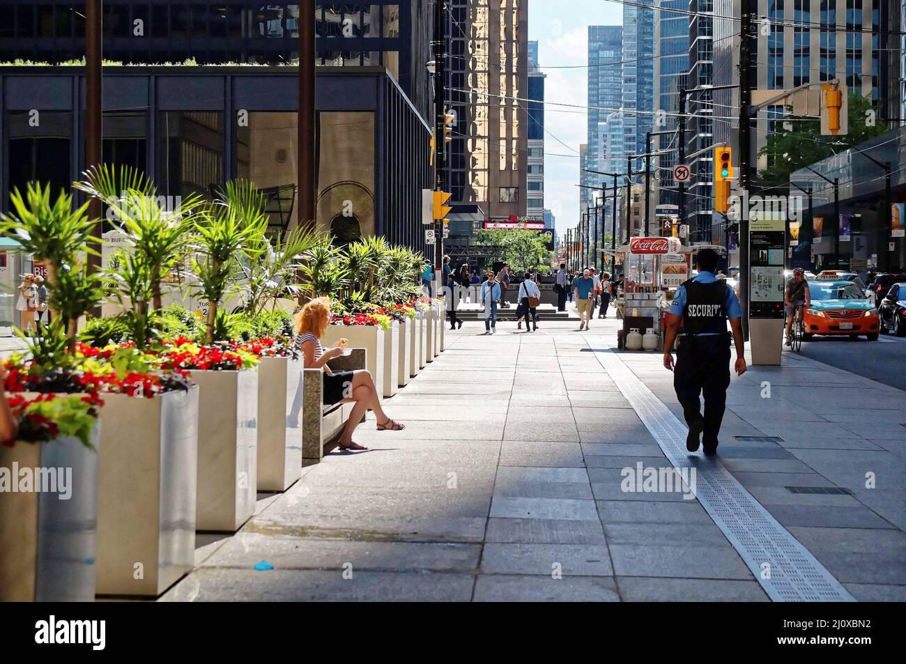 Toronto, CANADÁ - 06 28 2016: Guardia de seguridad navegando por King Street frente al edificio de Commerce Court en verano por la tarde. Foto de stock