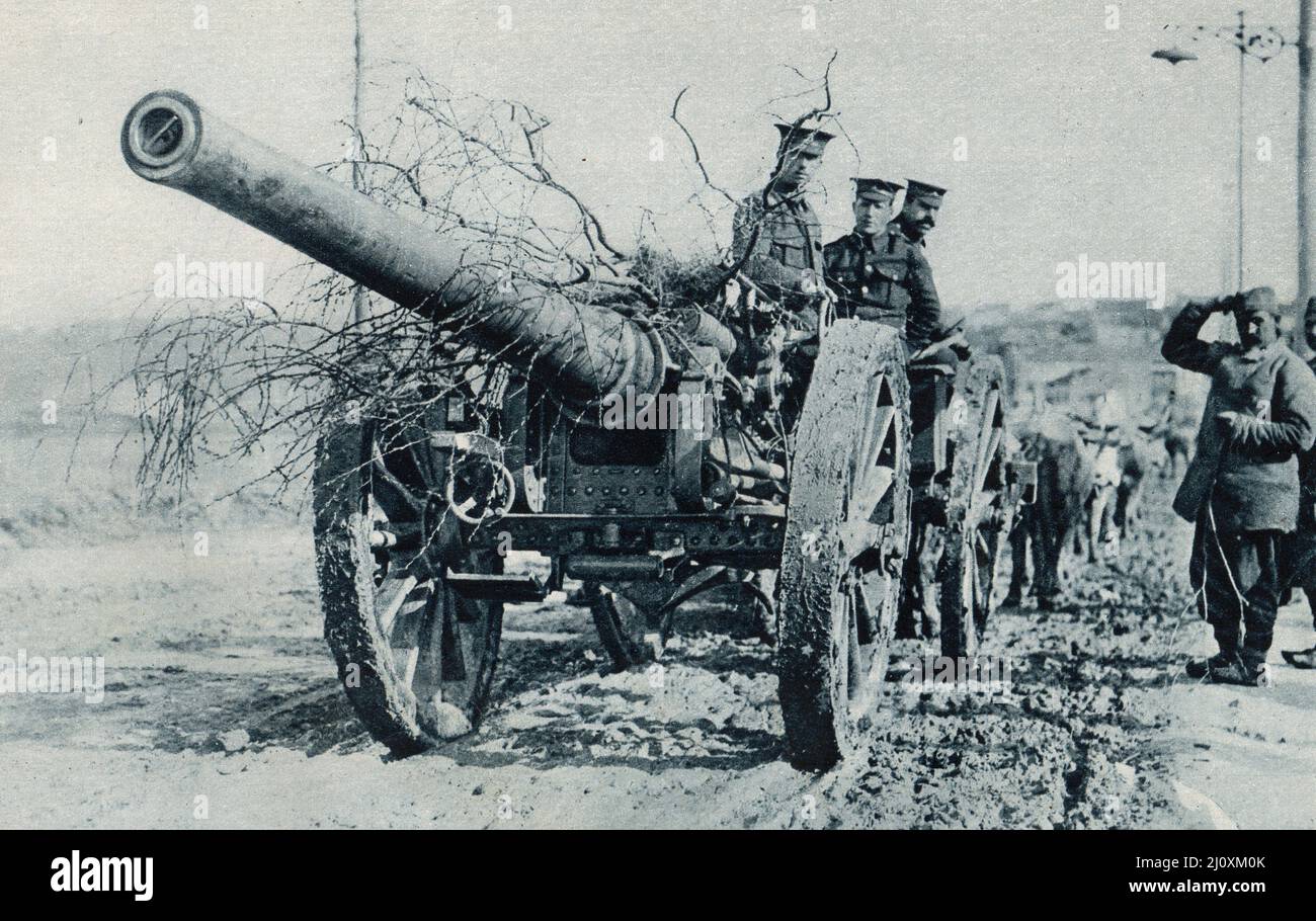 1st Guerra Mundial, 1915; Un arma pesada es movida por bueyes para ayudar a las fuerzas serbias en su campaña austriaca; Fotografía en blanco y negro Foto de stock