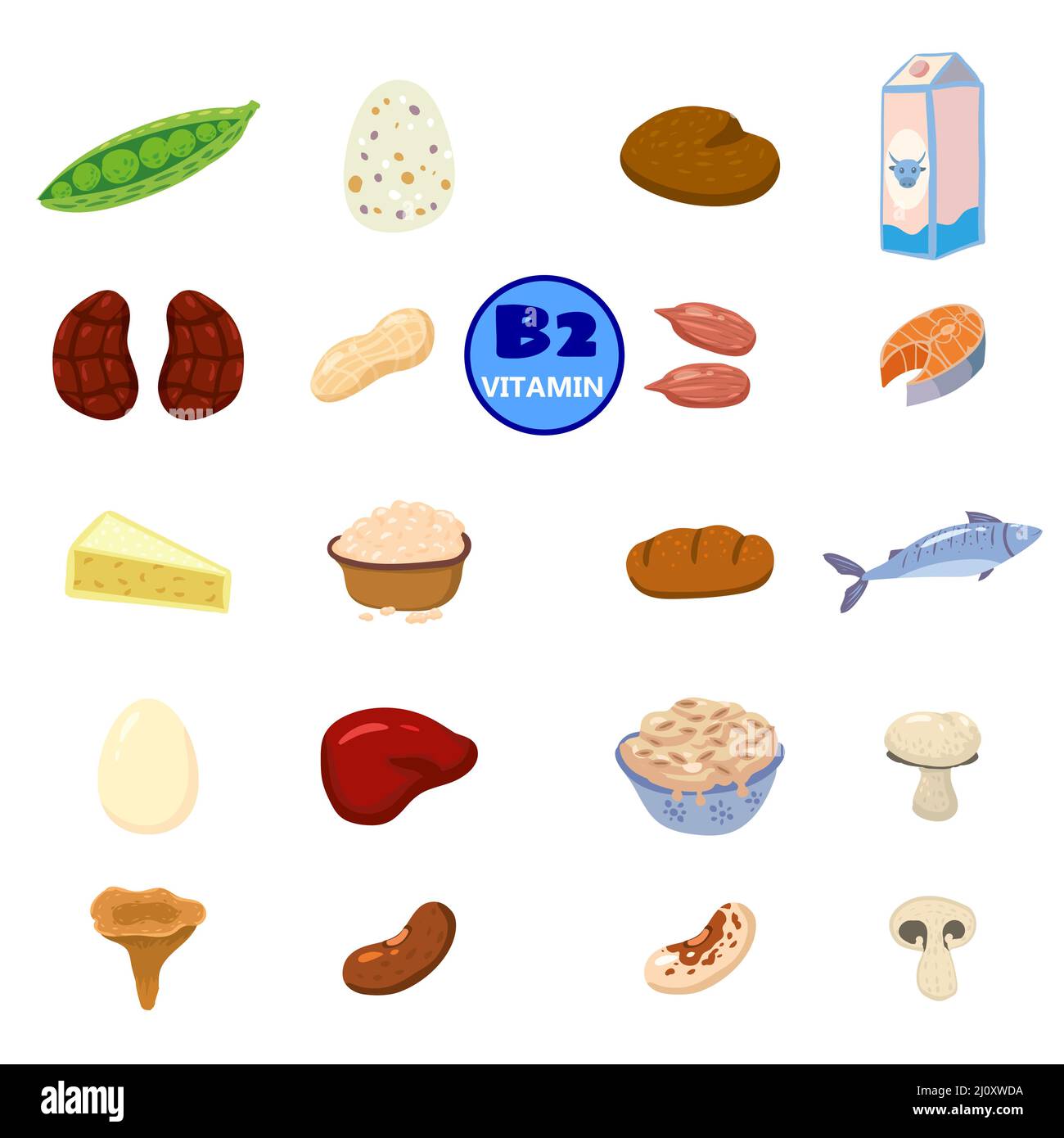 Conjunto de fuentes naturales de origen de la vitamina B2. Alimentos  saludables ricos en diarios que contienen riboflavina, queso, champiñones,  nueces, pescado. Productos de dieta orgánicos, naturales Imagen Vector de  stock -