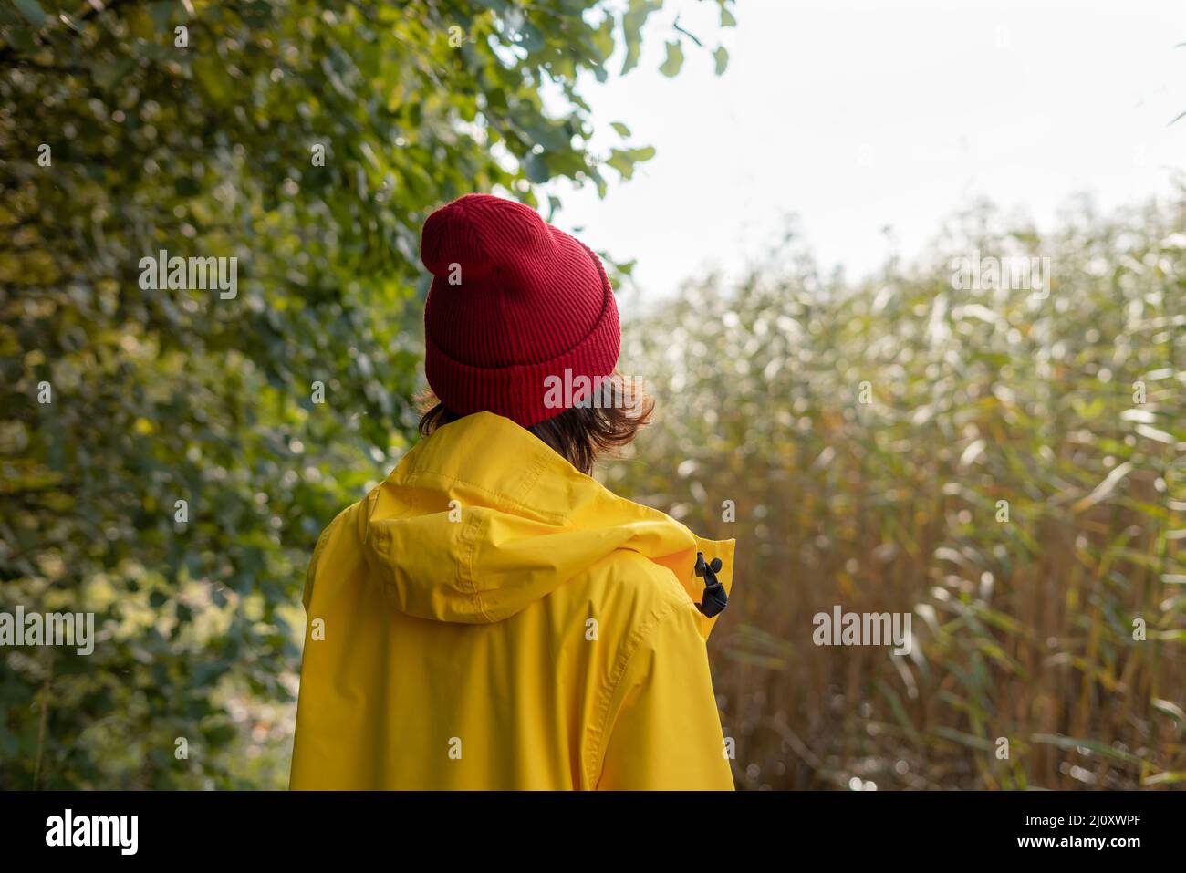 Vista posterior de la mujer en un chubasquero amarillo brillante y rojo  sombrero mira a la caña Fotografía de stock - Alamy