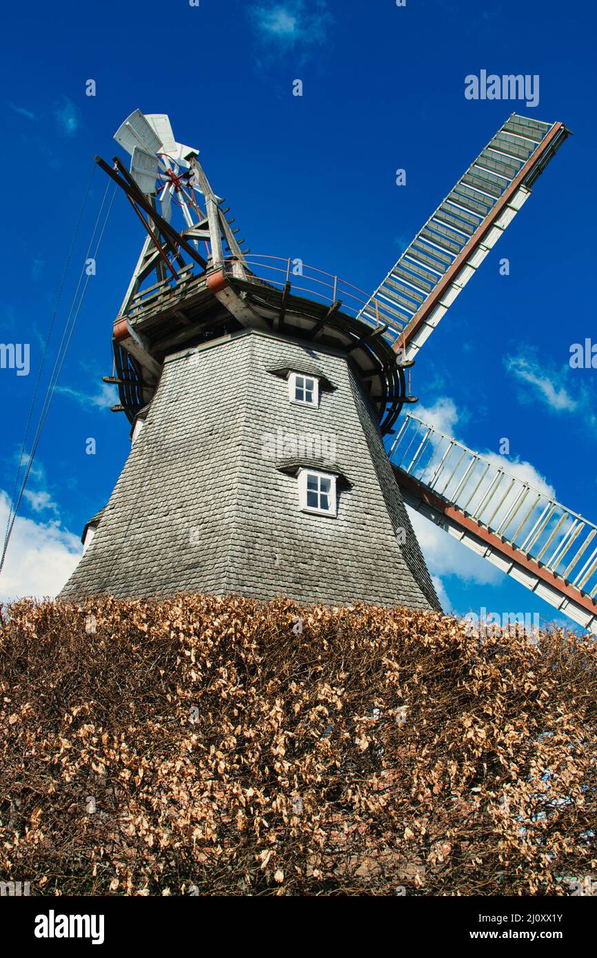 Windmühle Lübberstedt Foto de stock