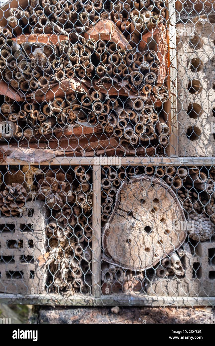 Bug Hotel, Coram's Fields, Bloomsbury, Londres, Reino Unido Foto de stock