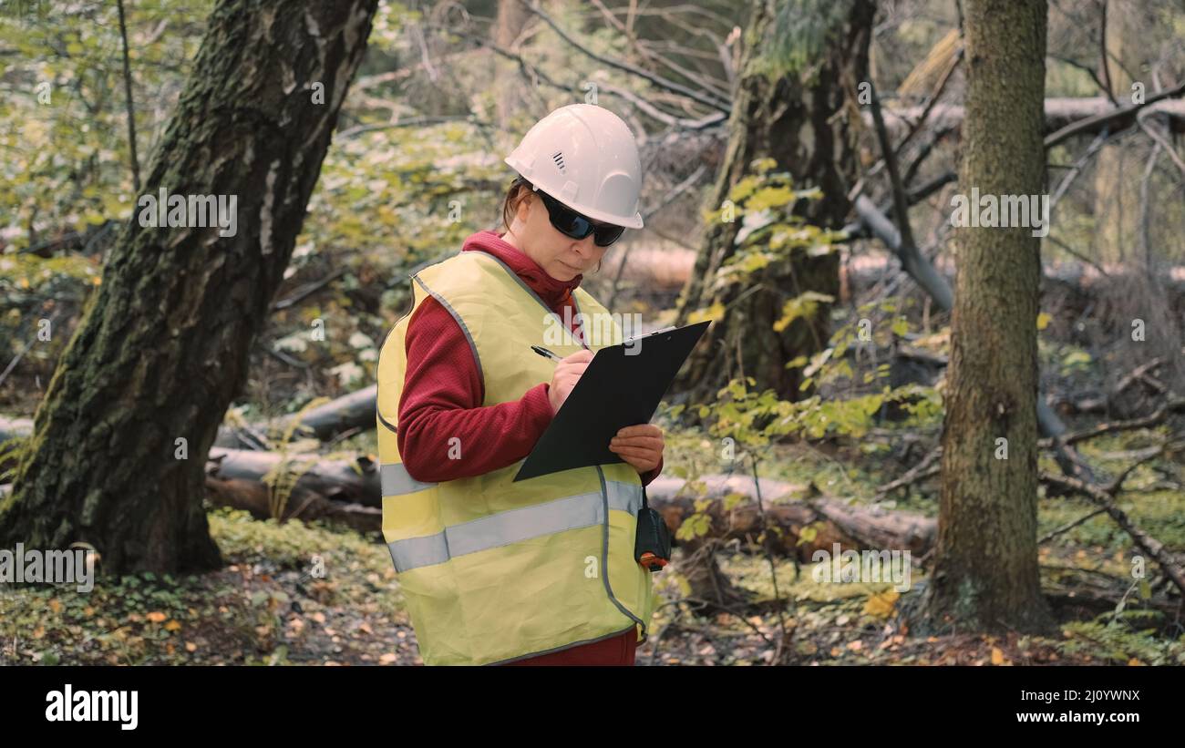 La ecologista femenina documenta daños en el bosque después del huracán, talando árboles alrededor Foto de stock