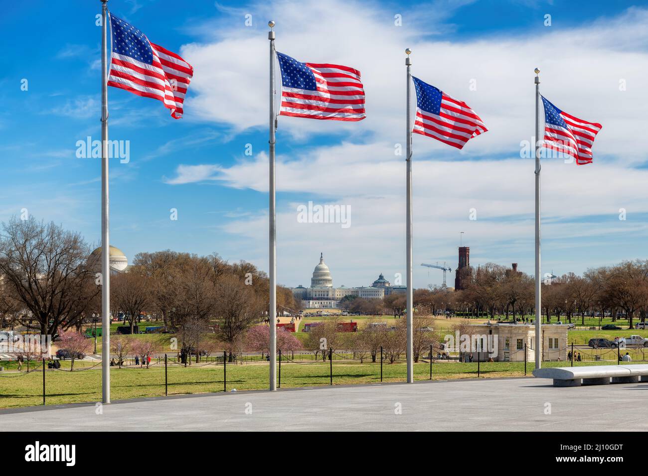 Banderas americanas en el día soleado y edificio del Capitolio en el fondo por el monumento de Washington en Washington DC, EE.UU.. Foto de stock