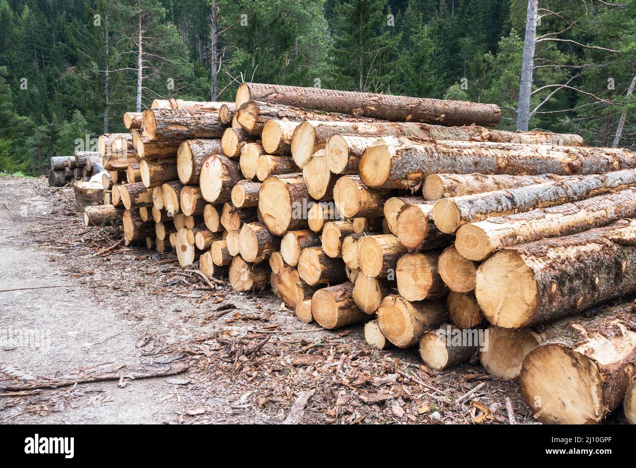 Apile los troncos de aserrado a lo largo de un camino forestal en las montañas. Industria maderera. Foto de stock