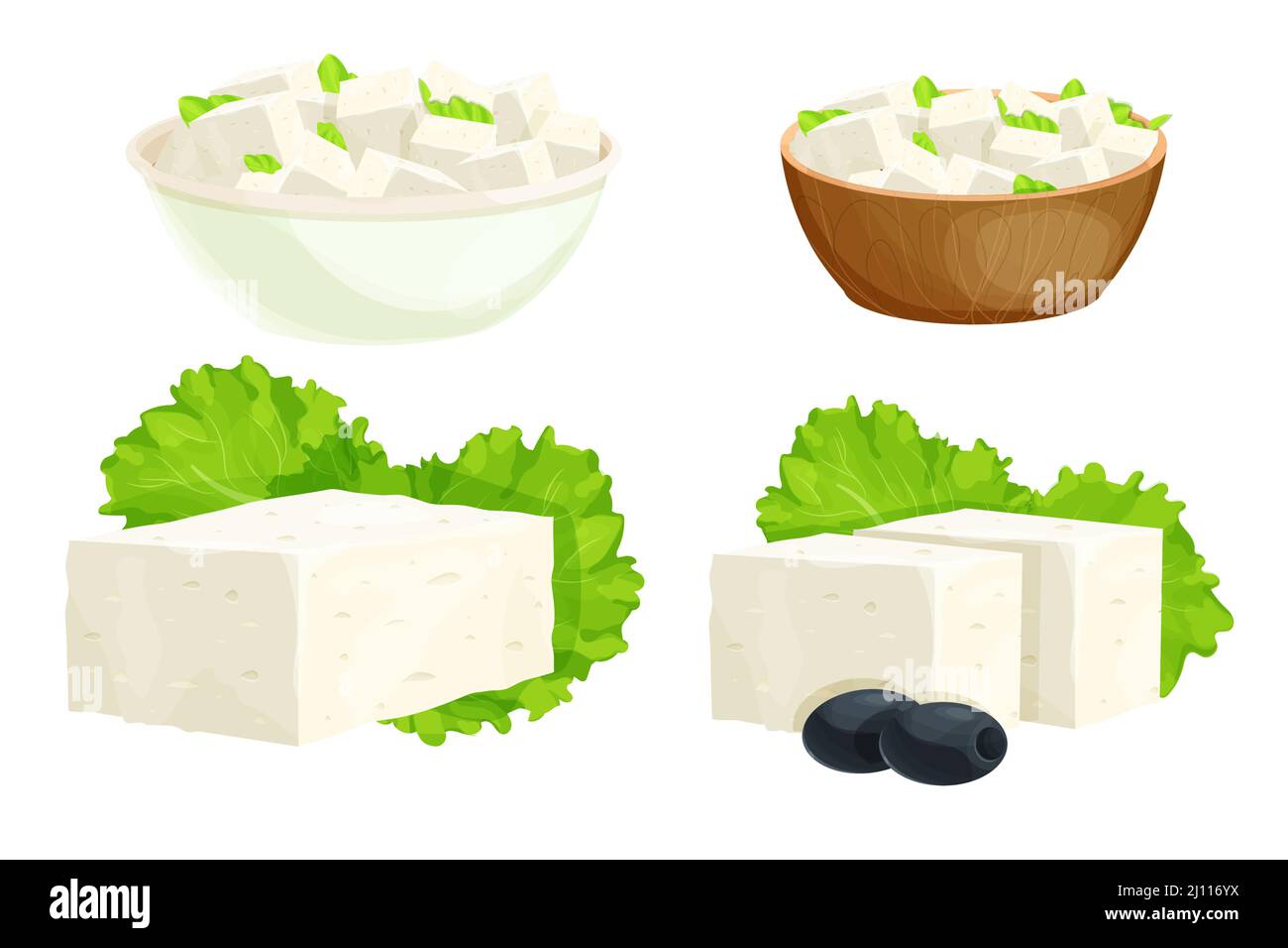 Piezas de queso feta en tazón de fuente en estilo de dibujos animados  ingrediente detallado aislado sobre fondo blanco. Queso blanco rizado  griego hecho de leche de oveja o de frijol lechero. .