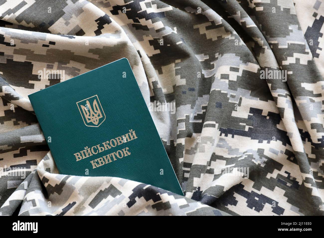 bufanda Incorrecto Asistencia Identificación militar ucraniana en tejido con textura de camuflaje pixelado.  Tela con patrón de camuflaje en forma de píxeles grises, marrones y verdes  con el ejército ucraniano Fotografía de stock - Alamy