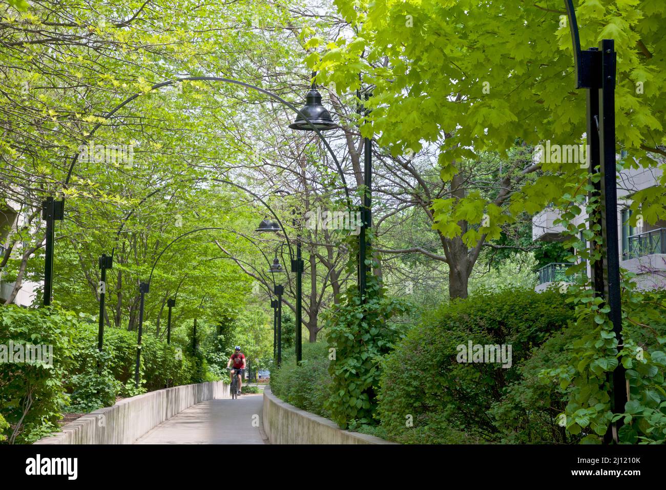 Montar en bicicleta por el parque público en primavera., Foto de stock
