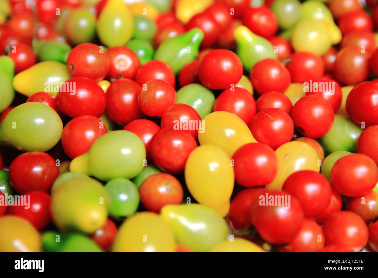 Grupo de tomates orgánicos frescos Foto de stock