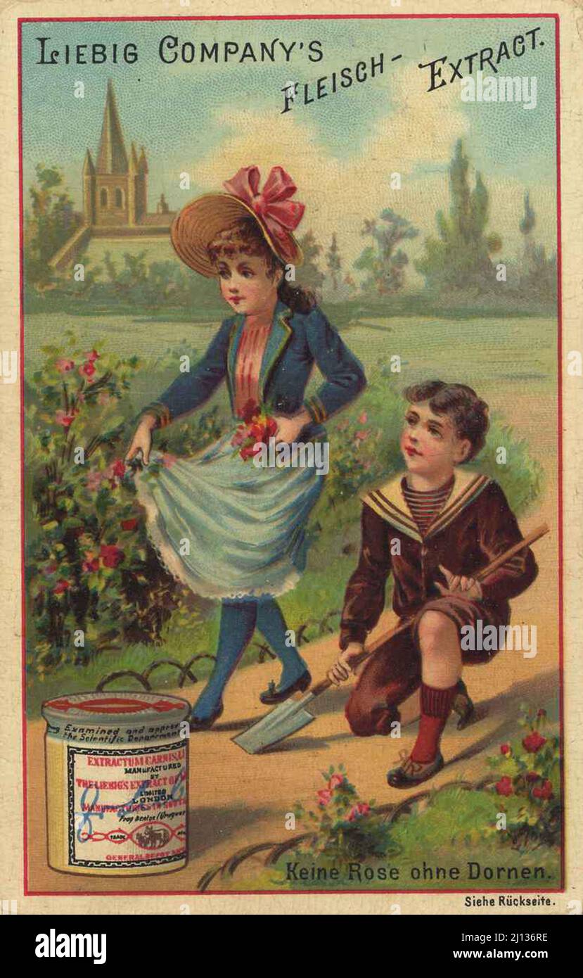 Serie Kinderreime, keine Rose ohne Dornen / Serie rimas infantiles, no rose without thorns, Liebigbild, digital Reproducción mejorada de una imagen coleccionable de la empresa Liebig, estimada a partir de 1900, pd / digital restaurierte Reproduktion eines Sammelbildes von ca 1900, gemeinfrei Foto de stock