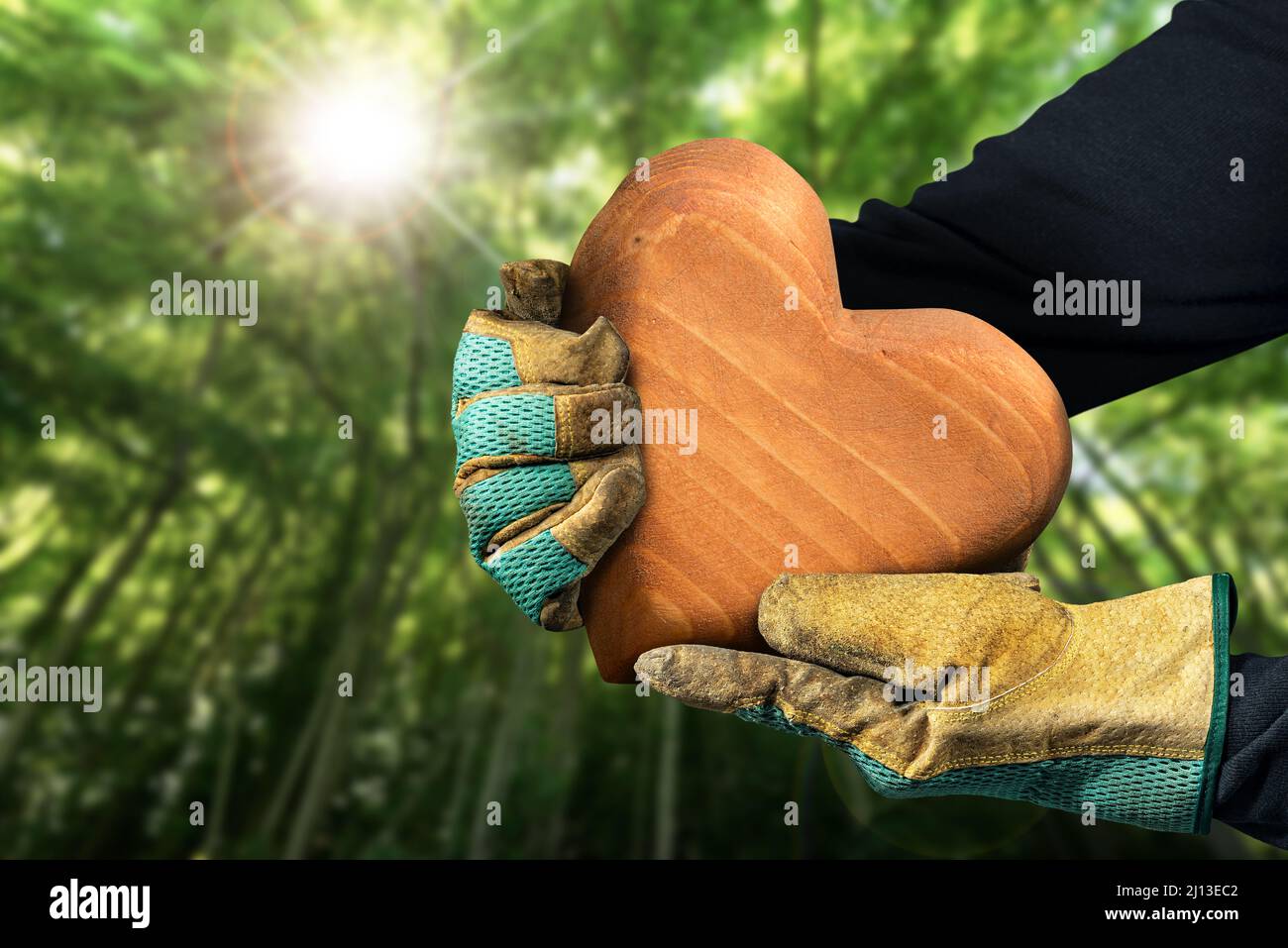 Trabajador manual con guantes de trabajo de protección que sostienen un corazón de madera marrón en un bosque verde. Concepto de recursos sostenibles y conservación del medio ambiente Foto de stock