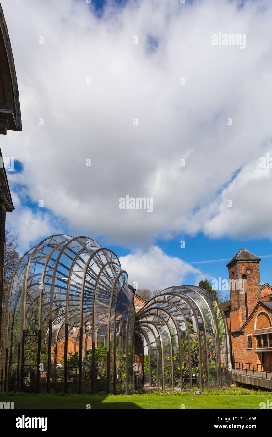 Casas de vidrio en Bombay Sapphire Gin Distillery en Laverstoke Mill, Laverstoke, Hampshire, Reino Unido, en marzo Foto de stock