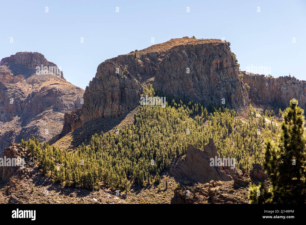 El Sombrero de Chasna y la cresta rocosa con pinos canarios en el paisaje volcánico del Parque Nacional Las Canadas del Teide, Tenerife, Canarias Foto de stock