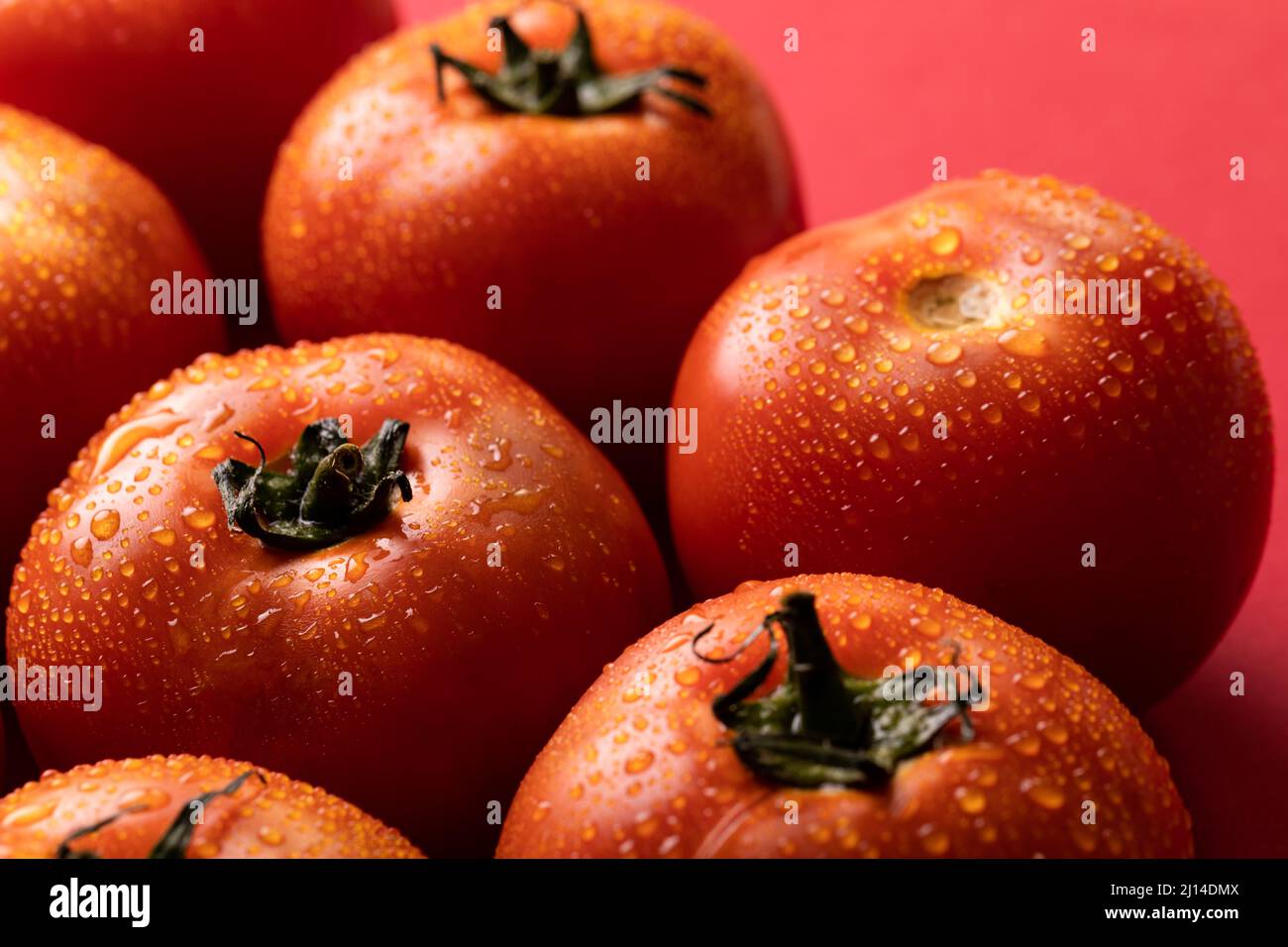Primer plano de tomates rojos frescos con gotas de agua sobre fondo coloreado Foto de stock