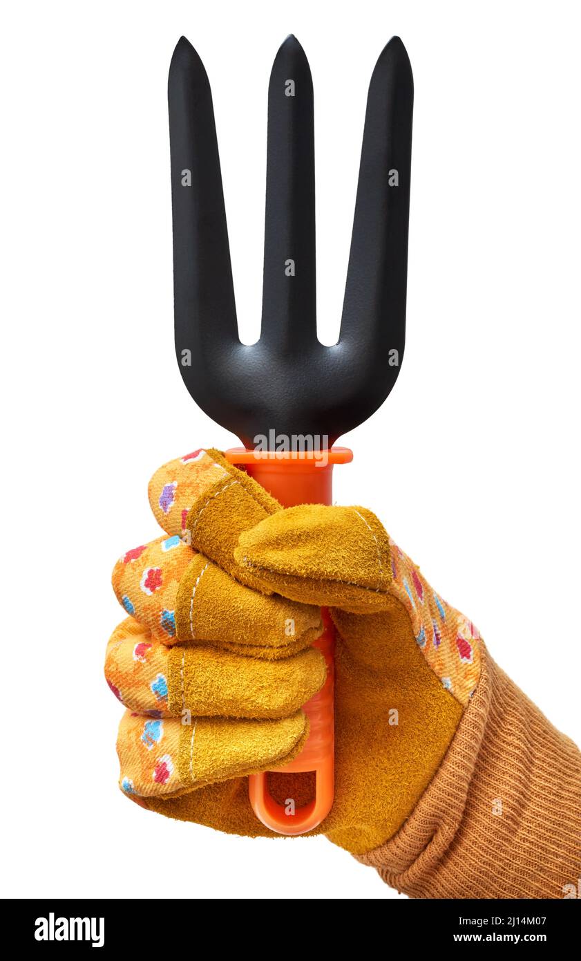Mano humana en un guante protector amarillo que sostiene la herramienta de jardinería, vista desde el interior, aislado sobre fondo blanco Foto de stock
