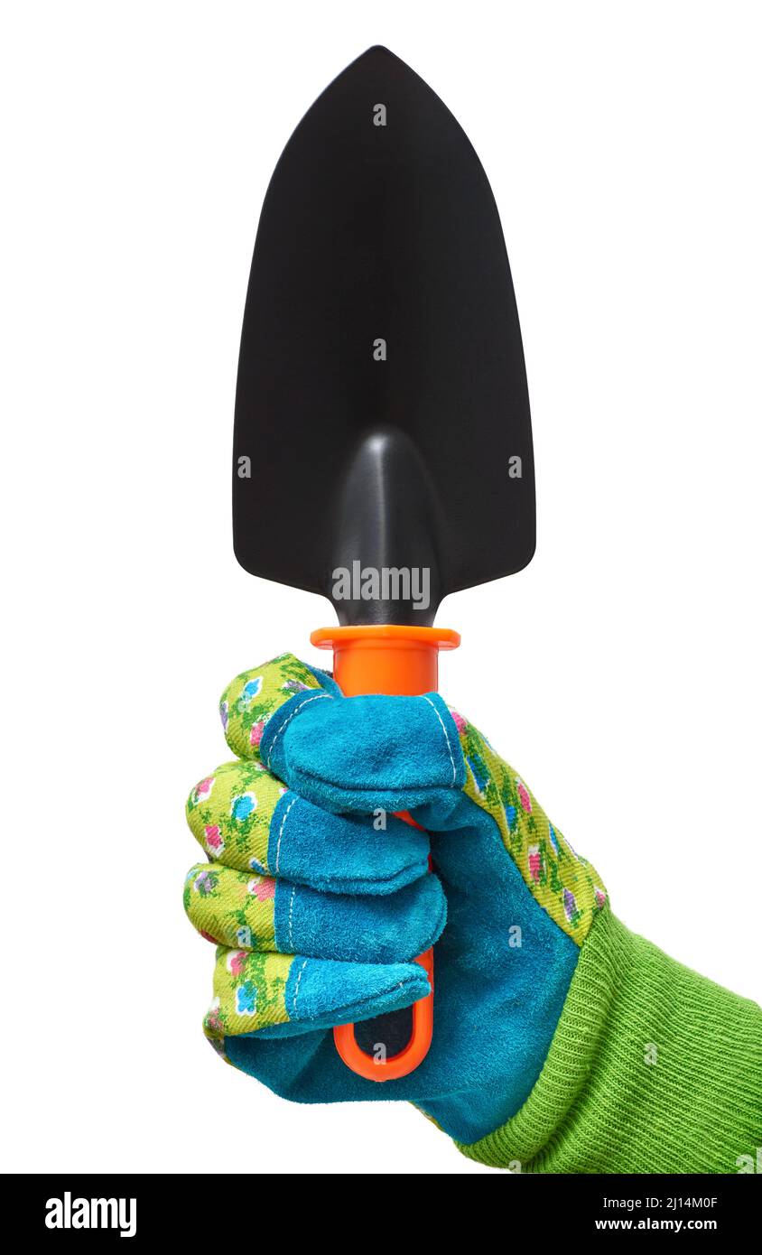 Mano humana en un guante protector verde que sostiene la herramienta de jardinería, vista desde el interior, aislado sobre fondo blanco Foto de stock