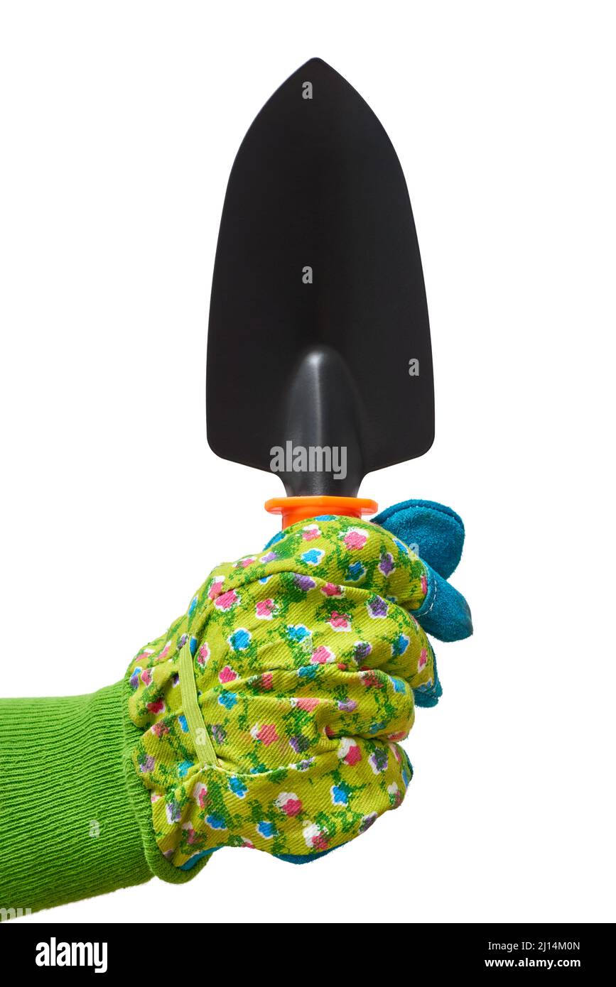 Mano humana en un guante protector verde que sostiene la herramienta de jardinería, vista desde el exterior, aislado sobre fondo blanco Foto de stock