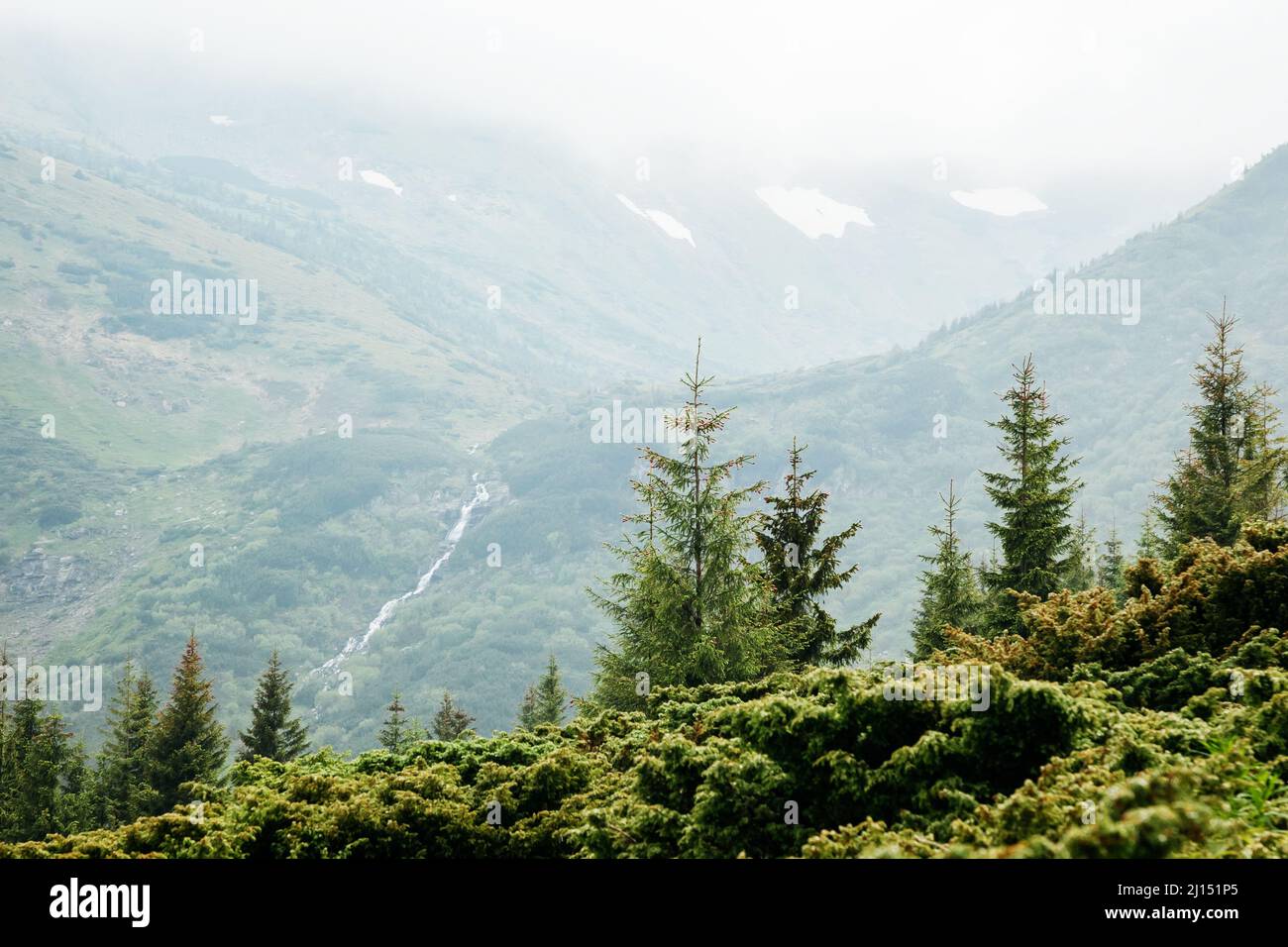 Vista majestuosa de las montañas boscosas. Escena dramática y pintoresca. Ubicación Parque Nacional Chornogora, Cárpatos, Ucrania, Europa. Artístico Foto de stock