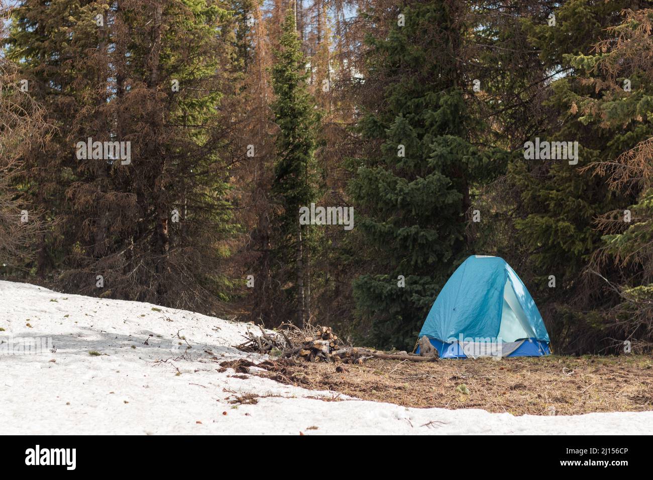 Camping nevado en el bosque durante la puesta del sol Foto de stock