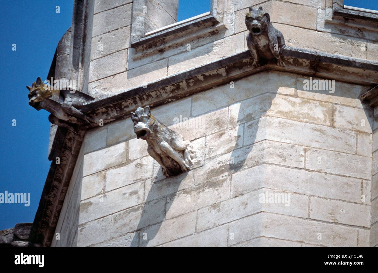 Avignon Francia Gargoyles en el Palais des Papes Foto de stock
