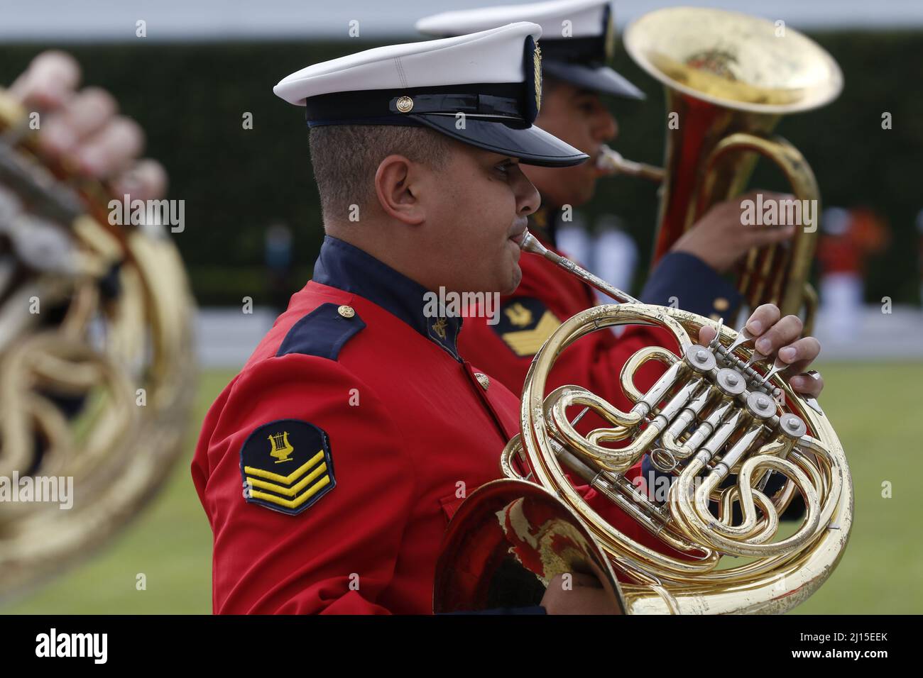 Fotos gratis : persona, militar, soldado, Estados Unidos, músico,  profesión, desfile, banda de marcha, percusión, equipo, latón, actuación,  Músicos, Instrumentos, de marcha, tropa, infantería de marina, Uniformes,  fuerza Aerea, Conjunto musical, Cuerpo