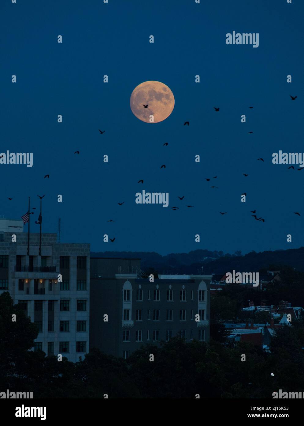 La Luna casi llena se ve cuando sale del Observatorio en la Plaza de los Estados Unidos en Washington, martes, 19 de octubre de 2021. Crédito de la foto: (NASA/Aubrey Gemignani) Foto de stock