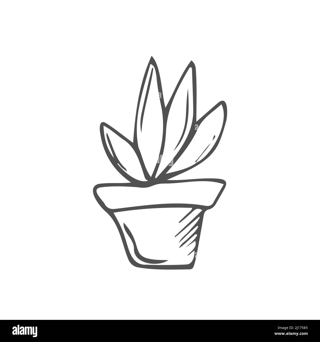 Maceta de flores con césped decorativo, planta. Dibujo a mano de un sencillo vector de contorno negro en estilo de tallarines de dibujos animados, aislado. Elemento de diseño, clip A. Ilustración del Vector