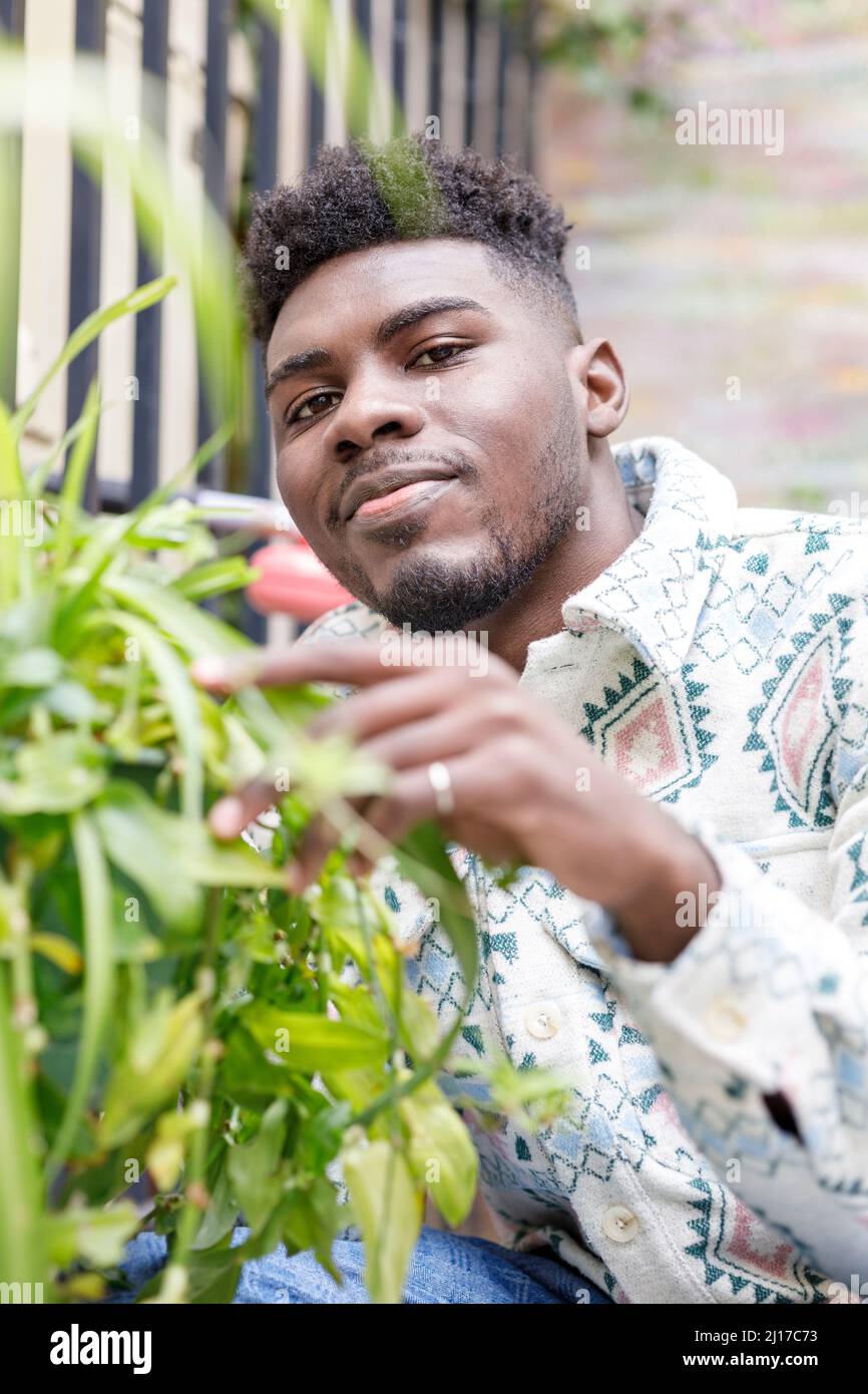 Hombre joven con el pelo negro tocando las plantas Foto de stock