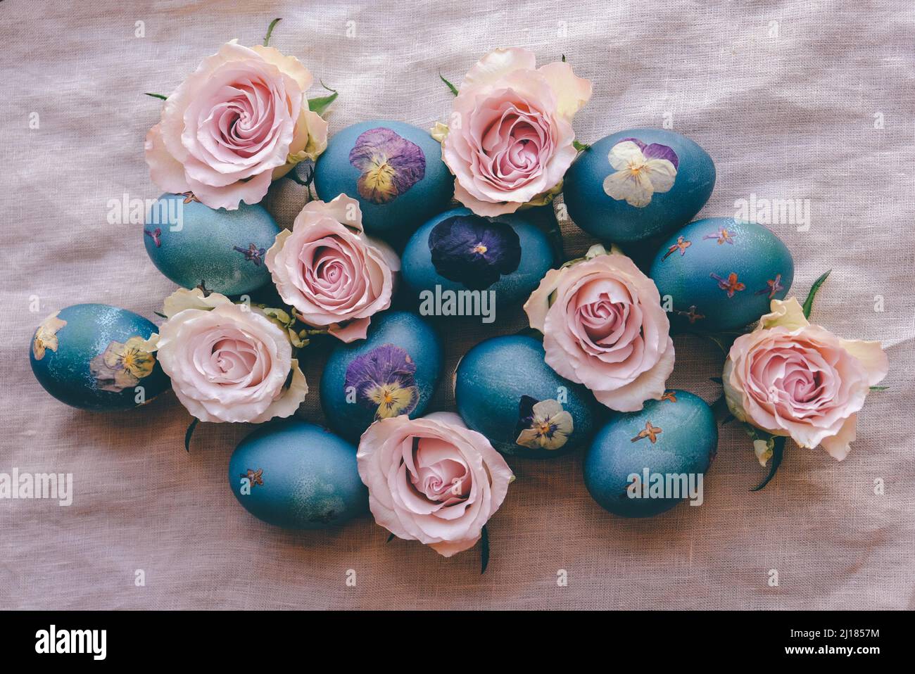 Naturalmente teñido azul cian prensado flor Huevos de Pascua sobre fondo  beige neutro mantel con flores de rosas en flor, vista superior. Artesanía  Natura Fotografía de stock - Alamy