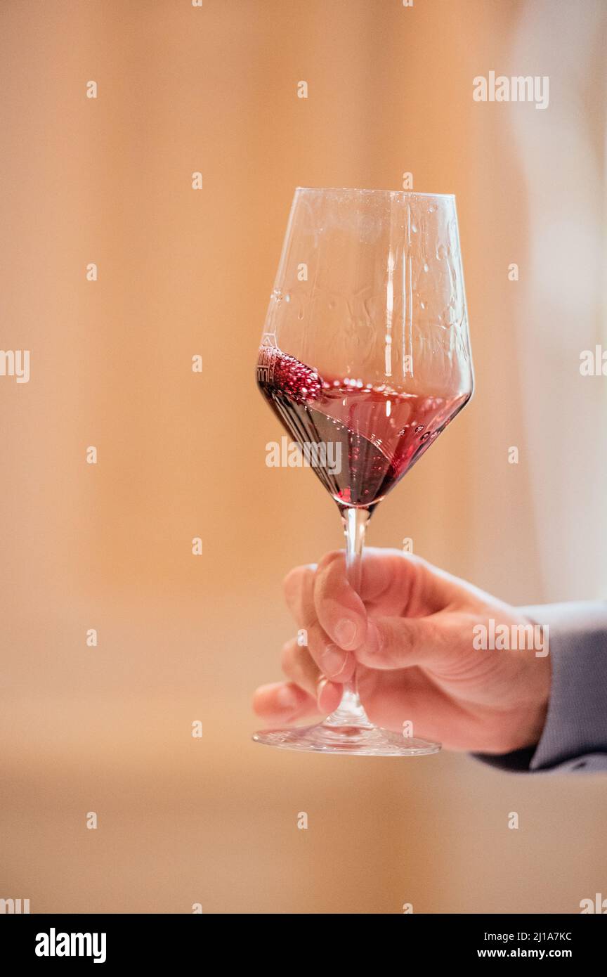 a mano con una copa de vino tinto en una cata de vinos Foto de stock