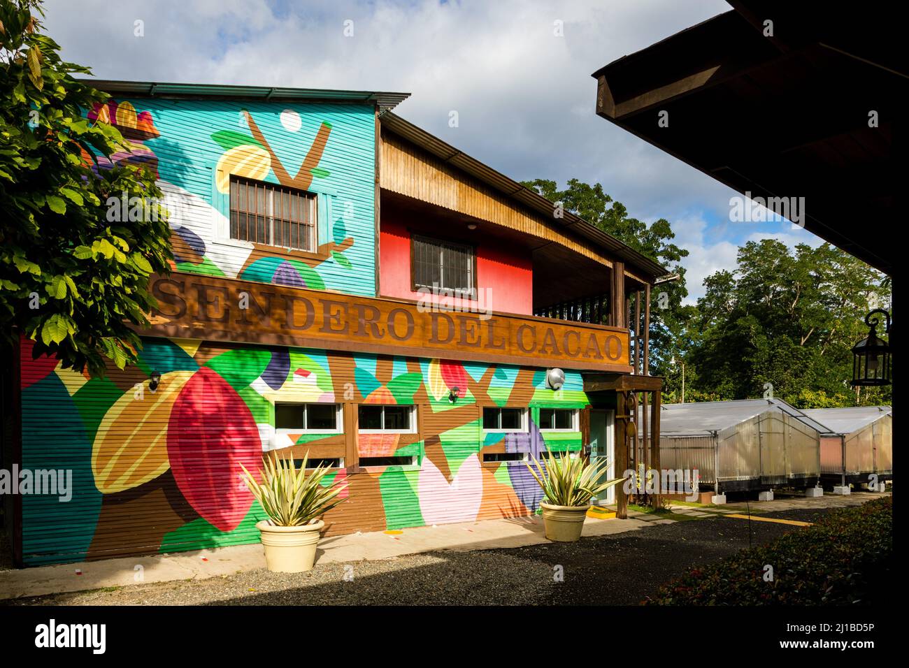 PLANTACIÓN DE CACAO, EL SENDERO DEL CACAO, HACIENDA LA ESMERALDA LAS