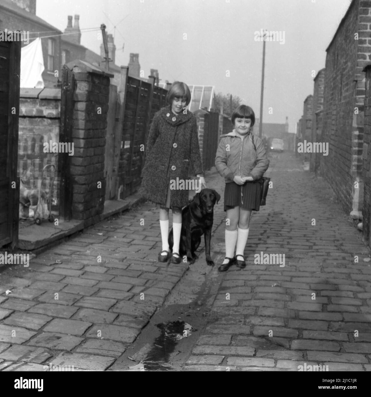 1962, histórico, dos niñas, hermanas, en su ropa y abrigos escolares, con  su perro mascota en un callejón adoquinado detrás de una fila de casas  victorianas tradicionales en terraza, Stockport, Manchester, Inglaterra,
