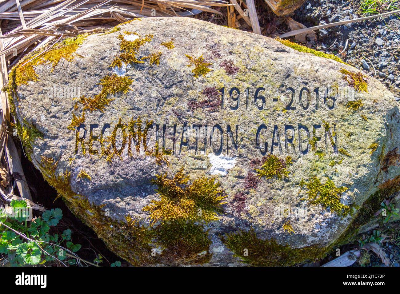 Reconciliación Centenario Piedra en el jardín 1916-2026 Foto de stock