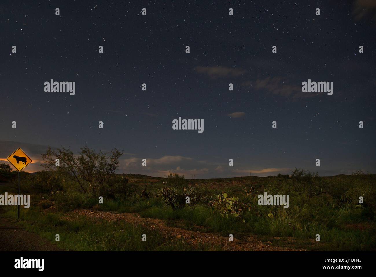 Señal de advertencia de cruce de ganado bajo cielo nocturno claro con estrellas sobre el Desierto de Sonora cerca de Tucson, Arizona Foto de stock