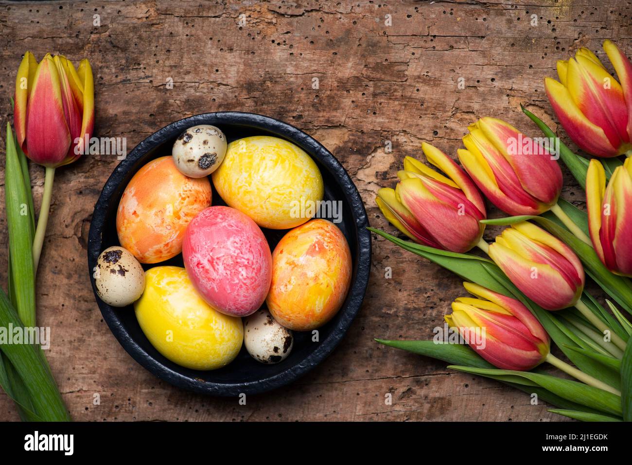 Tulipanes rojos y amarillos de colores con huevos de Pascua pintados a mano en una mesa de madera con espacio para copias Foto de stock