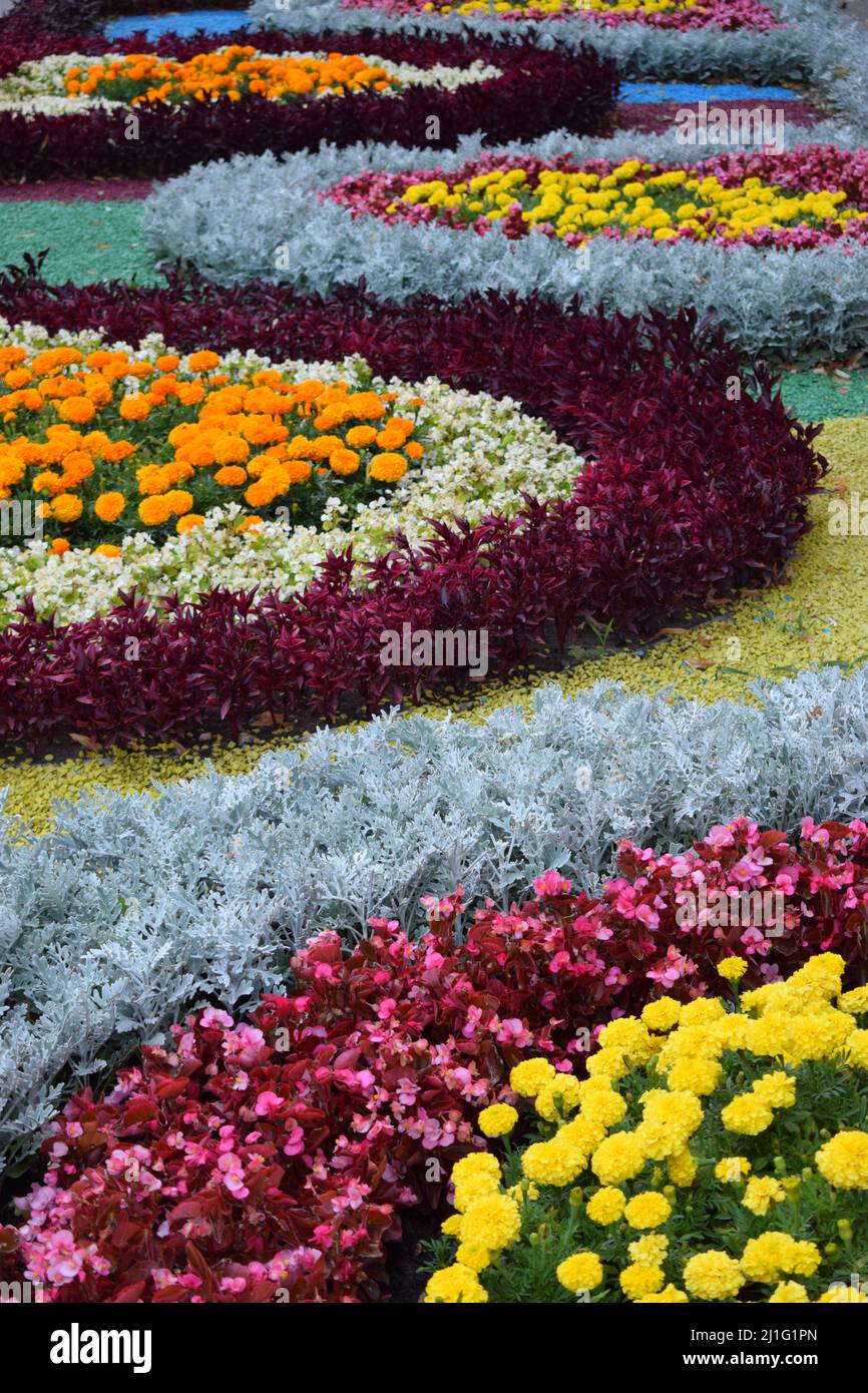 Jardines en flor, elementos de diseño paisajístico. Jardín de flores.  Diseño de jardines y paisajismo. Primavera floreciendo en el parque. Rojo y  rosa begonia y marig Fotografía de stock - Alamy