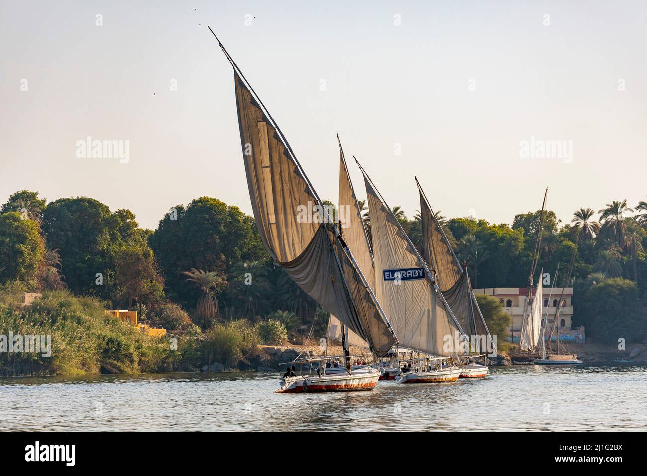 Felucas navegando por el Nilo en Asuán Foto de stock